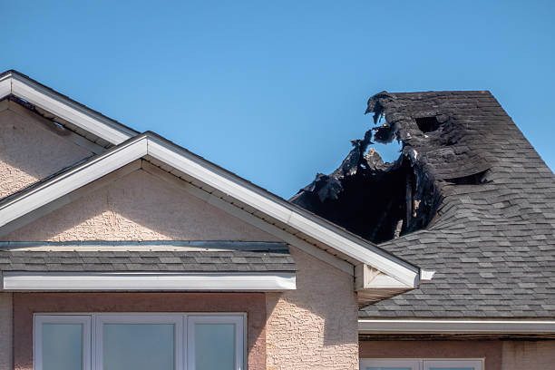 Top rated local Fire Damage Removal specialists in Kentucky, KY